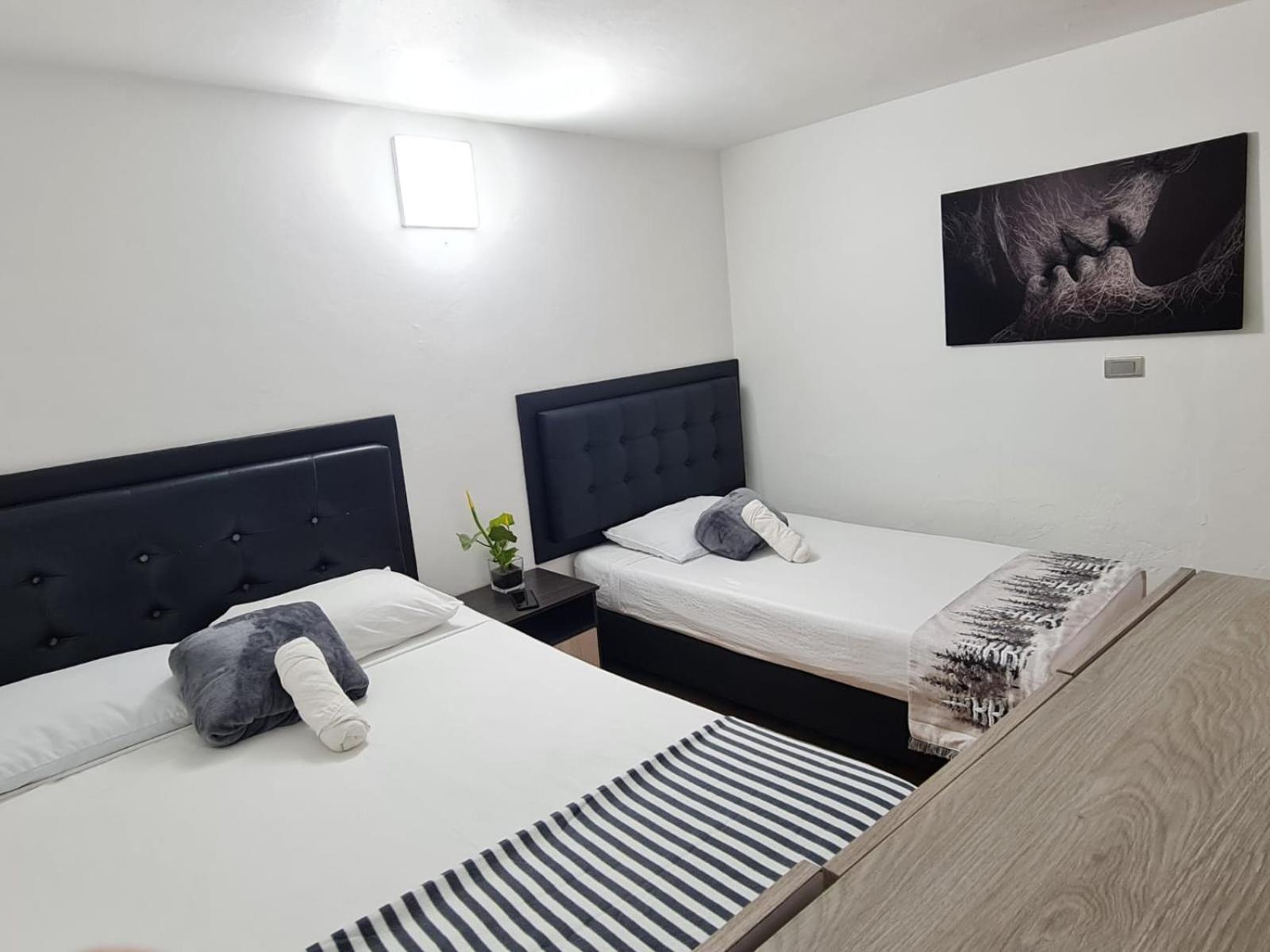 New Cozy Apartment In The Poblado, San Lucas Medellín Exteriör bild